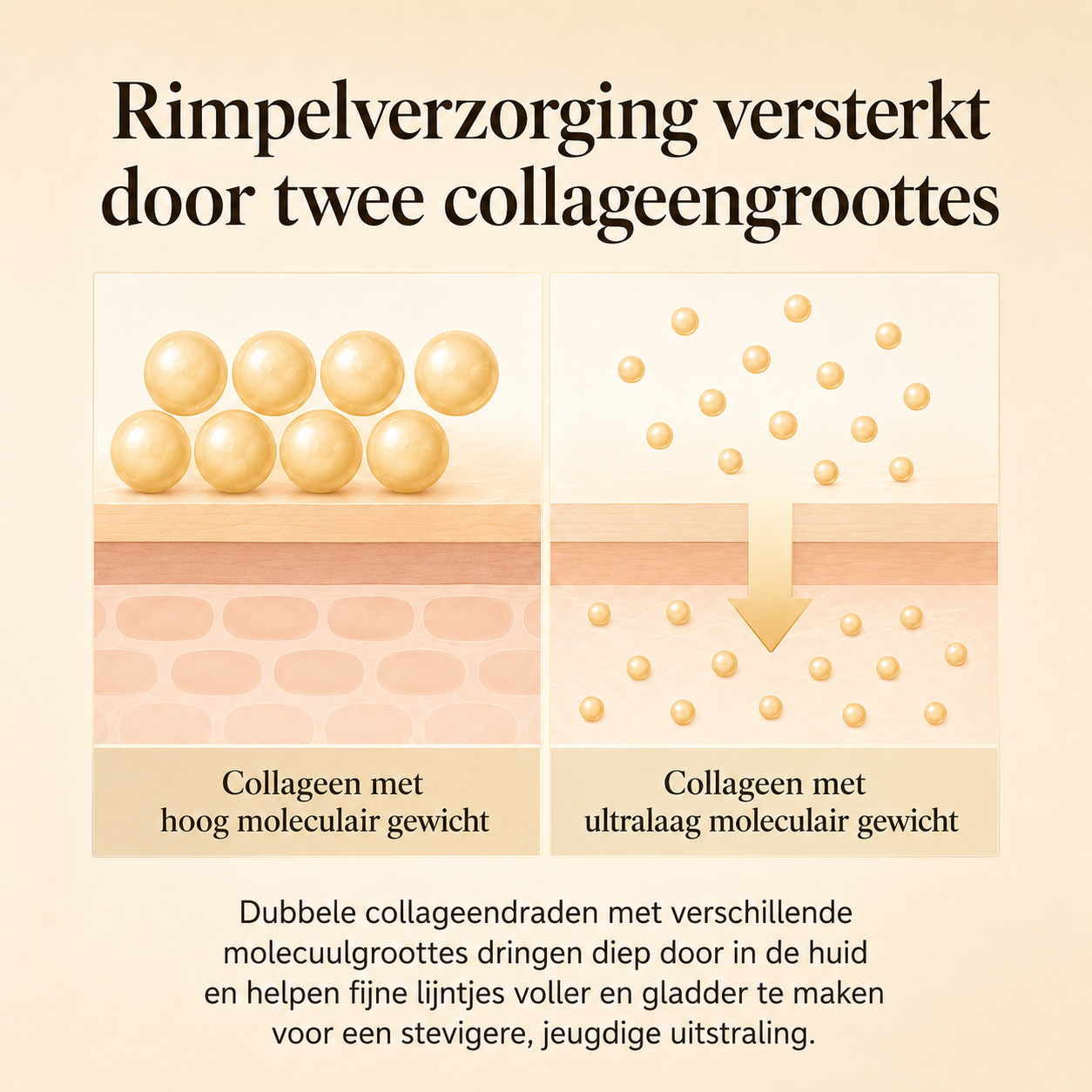 Koreaanse Liftende Ampul met Zijdepeptiden