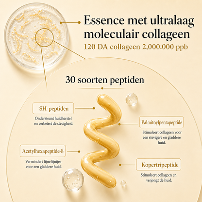 Koreaanse Liftende Ampul met Zijdepeptiden